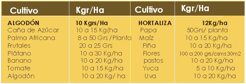 Informacion Calferzinc-p